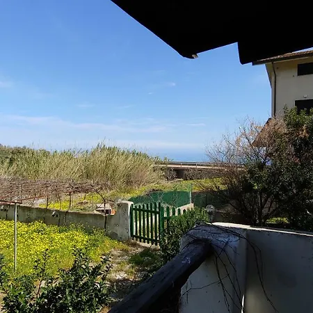 Seafront Garden House